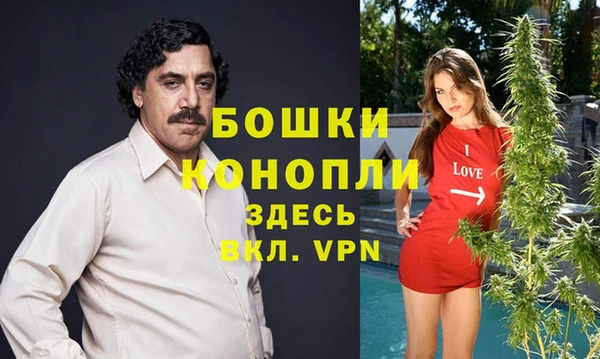 spice Алексин