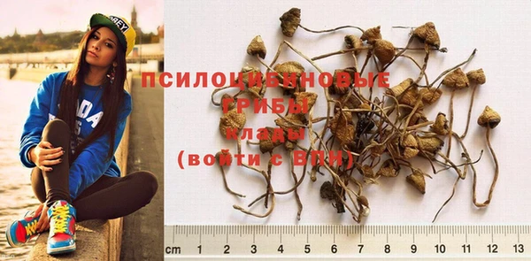 spice Алексин